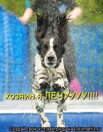 хозяин я ЛЕЧУУУУ!!!!... Котоматрица: хозяин я ЛЕЧУУУУ!!!!