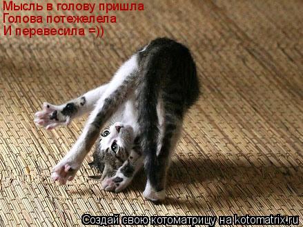 Котоматрица: Мысль в голову пришла Голова потежелела И перевесила =))