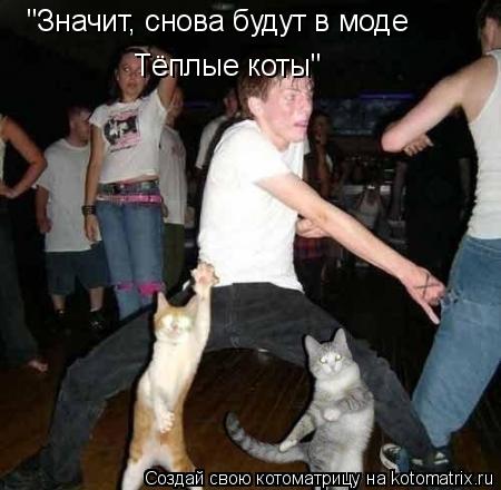 Котоматрица: "Значит, снова будут в моде Тёплые коты"
