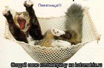 Пяяятница!!!... Котоматрица: Пяяятница!!!