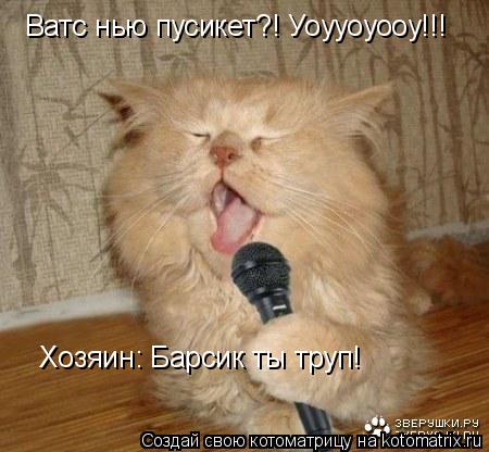 Ватс нью пусикет?! Уоууоуооу!!! Хозяин: Барсик ты труп!... Котоматрица: Ватс нью пусикет?! Уоууоуооу!!! Хозяин: Барсик ты труп!