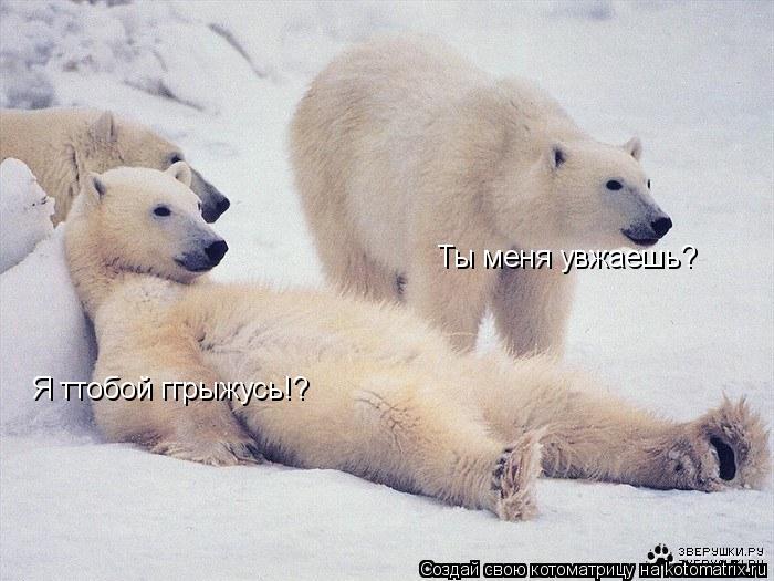 Ты меня увжаешь? Я ттобой ггрыжусь!?... Котоматрица: Ты меня увжаешь? Я ттобой ггрыжусь!?