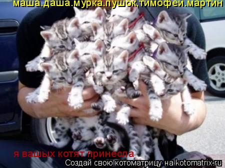 Котоматрица: я вашых котят принесла маша.даша.мурка.пушок,тимофей.мартин