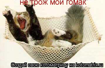 Котоматрица: не трож мой гомак