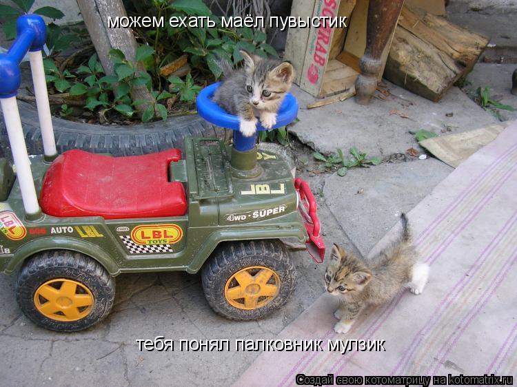 Котоматрица: можем ехать маёл пувыстик тебя понял палковник мулзик