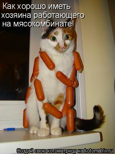 Котоматрица: Как хорошо иметь  хозяина работающего на мясокомбинате!