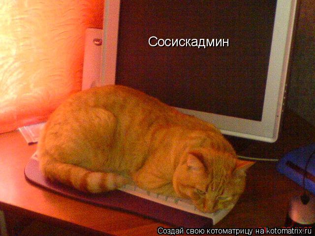 Котоматрица: Сосискадмин