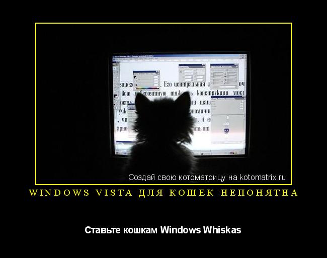 Котоматрица: Windows Vista для кошек непонятна Ставьте кошкам Windows Whiskas