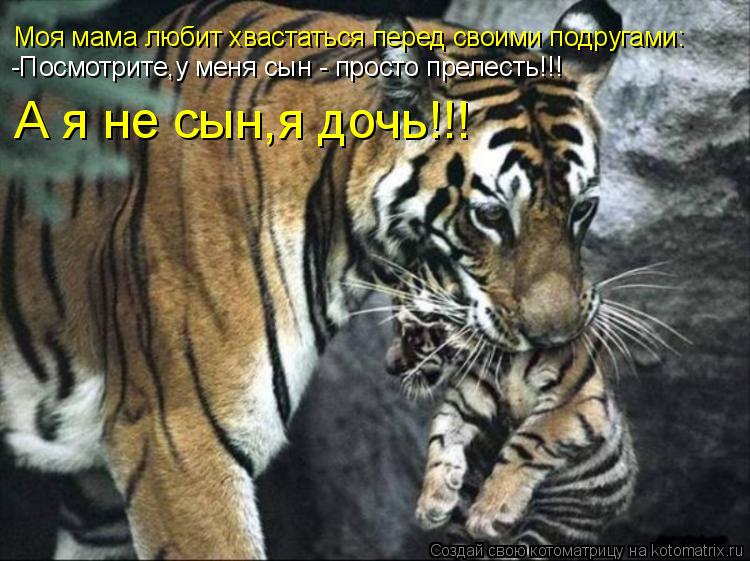 Моя мама любит хвастаться перед своими подругами: -Посмотрите,у меня сын - просто прелесть!!! А я не ... Котоматрица: Моя мама любит хвастаться перед своими подругами: -Посмотрите,у меня сын - просто прелесть!!! А я не сын,я дочь!!!