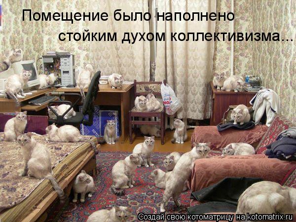 Помещение было наполнено стойким духом коллективизма...... Котоматрица: Помещение было наполнено стойким духом коллективизма...