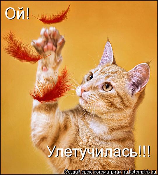 Ой! Улетучилась!!!... Котоматрица: Ой! Улетучилась!!!