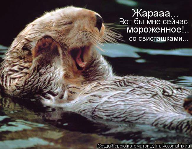 Жарааа... Вот бы мне сейчас мороженное!.. со свисташками...... Котоматрица: Жарааа... Вот бы мне сейчас мороженное!.. со свисташками...