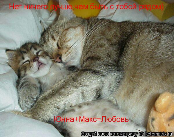 Нет ничего лучше,чем быть с тобой рядом) Юнна+Макс=Любовь... Котоматрица: Нет ничего лучше,чем быть с тобой рядом) Юнна+Макс=Любовь