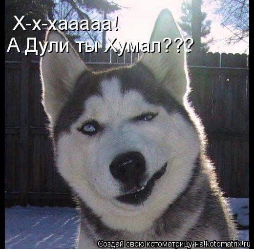 Х-х-хааааа! А Дули ты Хумал???... Котоматрица: Х-х-хааааа! А Дули ты Хумал???