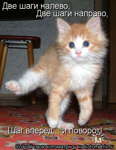 Две шаги налево, Две шаги направо, Шаг вперед... и поворот!... Котоматрица: Две шаги налево, Две шаги направо, Шаг вперед... и поворот!