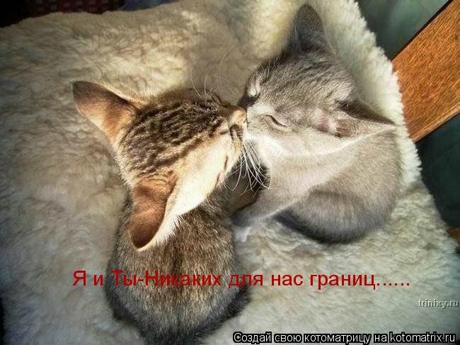 Я и Ты-Никаких для нас границ......... Котоматрица: Я и Ты-Никаких для нас границ......