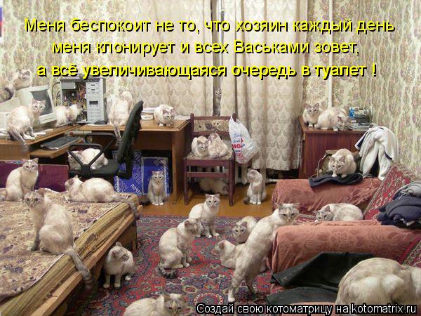Меня беспокоит не то, что хозяин каждый день меня клонирует и всех Васьками зовет, а всё увеличивающ... Котоматрица: Меня беспокоит не то, что хозяин каждый день меня клонирует и всех Васьками зовет, а всё увеличивающаяся очередь в туалет ! а всё увеличиваю