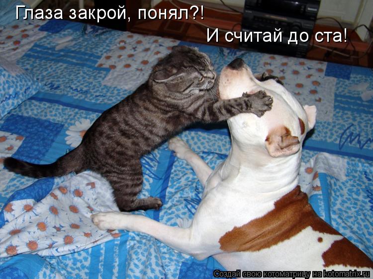 Котоматрица: Глаза закрой, понял?! И считай до ста!