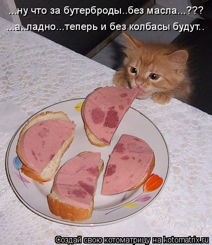 Котоматрица: ...ну что за бутерброды..без масла...??? ...а..ладно...теперь и без колбасы будут..