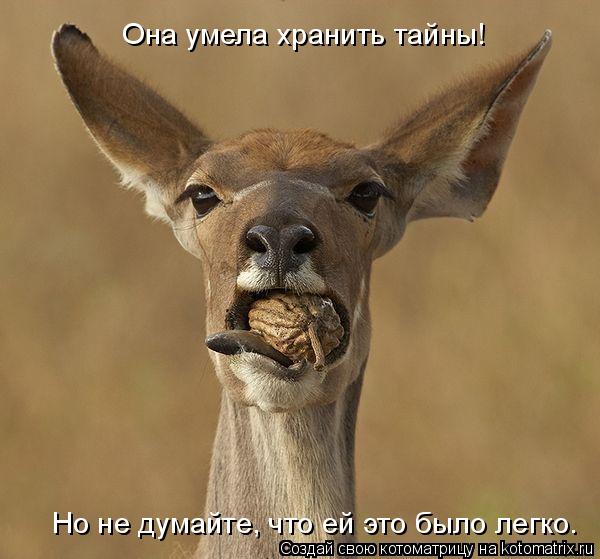 Она умела хранить тайны! Но не думайте, что ей это было легко.... Котоматрица: Она умела хранить тайны! Но не думайте, что ей это было легко.