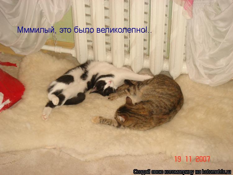 Котоматрица: Мммилый, это было великолепно!..
