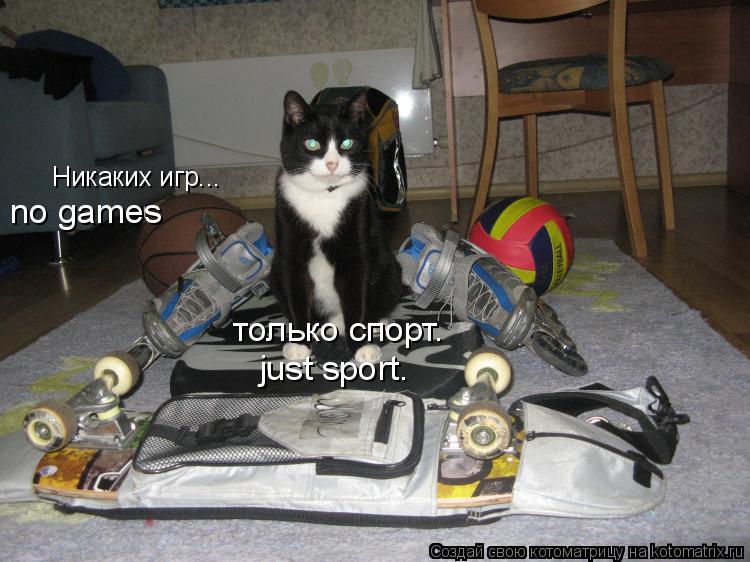 Котоматрица: Никаких игр... только спорт. no games just sport.