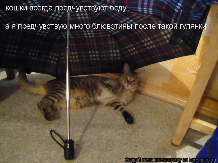 кошки всегда предчувствуют беду... а я предчувствую много блювотины после такой гулянки... Котоматрица: кошки всегда предчувствуют беду... а я предчувствую много блювотины после такой гулянки