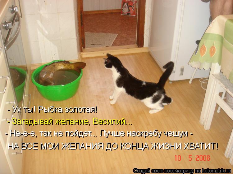 - Ух ты! Рыбка золотая! - Загадывай желание, Василий... - Не-е-е, так не пойдет... Лучше наскребу че... Котоматрица: - Ух ты! Рыбка золотая! - Загадывай желание, Василий... - Не-е-е, так не пойдет... Лучше наскребу чешуи - НА ВСЕ МОИ ЖЕЛАНИЯ ДО КОНЦА ЖИЗНИ ХВАТИТ!
