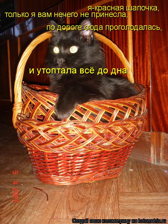 Котоматрица: я-красная шапочка, только я вам нечего не принесла, по дороге сюда проголодалась, и утоптала всё до дна