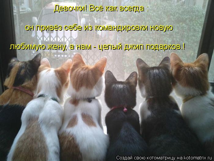 Девочки! Всё как всегда : он привёз себе из командировки новую любимую жену, а нам - целый джип подар... Котоматрица: Девочки! Всё как всегда : он привёз себе из командировки новую любимую жену, а нам - целый джип подарков.!