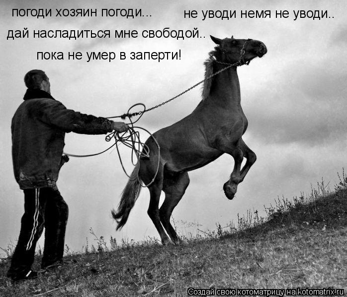 Котоматрица: погоди хозяин погоди... дай насладиться мне свободой.. пока не умер в заперти! не уводи немя не уводи..