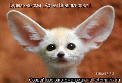 Котоматрица: Будем знакомы...Артём Владимирович!...