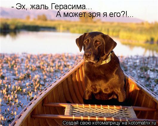 - Эх, жаль Герасима... А может зря я его?!...... Котоматрица: - Эх, жаль Герасима... А может зря я его?!...