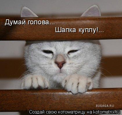 Котоматрица: Думай голова... Шапка куплу!...