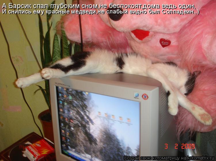 Котоматрица: А Барсик спал глубоким сном,не беспокоят,дома ведь один, И снились ему красные медведи,не слабый видно был Солпадеин..)