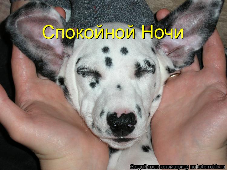 Котоматрица: Спокойной Ночи
