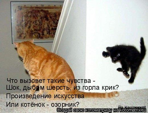 Котоматрица: Что вызовет такие чувства -  Шок, дыбом шерсть, из горла крик? Произведение искусства Или котёнок - озорник?
