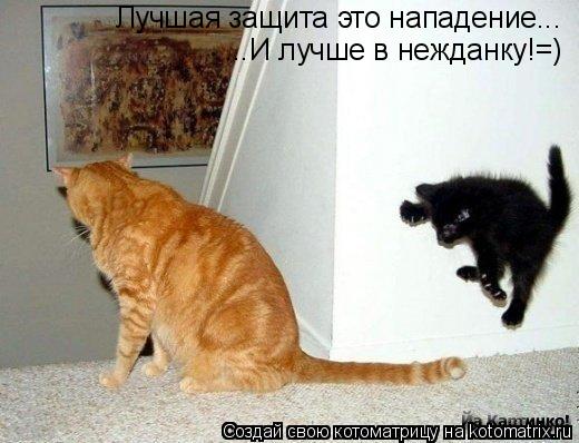 Котоматрица: Лучшая защита э Лучшая защита это нападение... ...И лучше в нежданку!=)