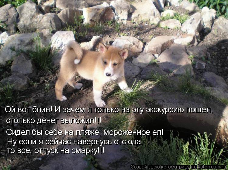 Ой вот блин! И зачем я только на эту экскурсию пошёл, столько денег выложил!!! Сидел бы себе на пляже... Котоматрица: Ой вот блин! И зачем я только на эту экскурсию пошёл, столько денег выложил!!! Сидел бы себе на пляже, мороженное ел! Ну если я сейчас навернус