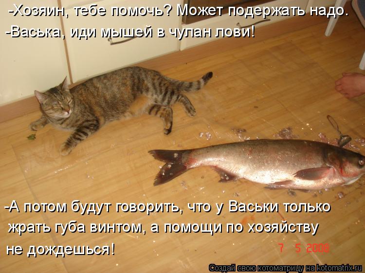 -Хозяин, тебе помочь? Может подержать надо. -Васька, иди мышей в чулан лови! -А потом будут говорить,... Котоматрица: -Хозяин, тебе помочь? Может подержать надо. -Васька, иди мышей в чулан лови! -А потом будут говорить, что у Васьки только жрать губа винтом, а п
