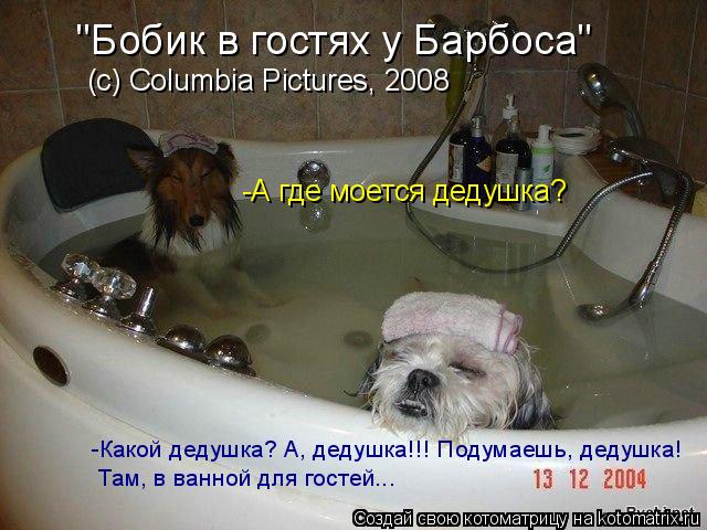 Котоматрица: "Бобик в гостях у Барбоса" (c) Columbia Pictures, 2008 -А где моется дедушка? -Какой дедушка? А, дедушка!!! Подумаешь, дедушка! Там, в ванной для гост
