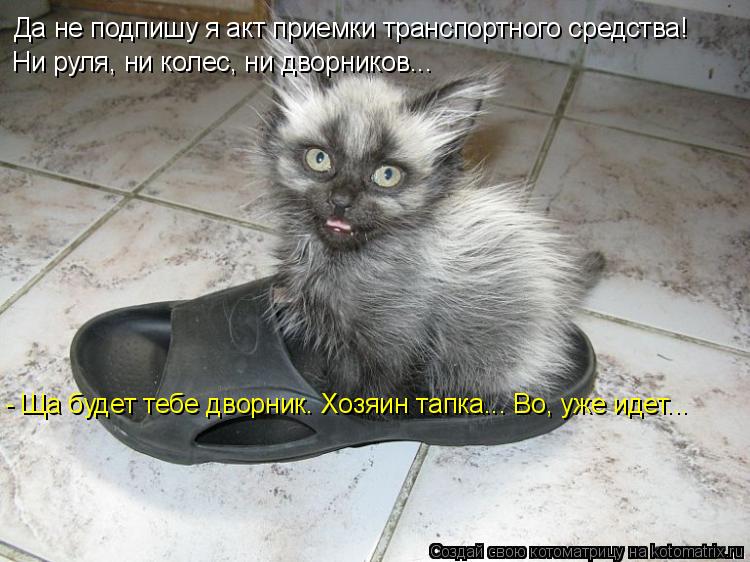 Котоматрица: Да не подпишу я акт приемки транспортного средства! Ни руля, ни колес, ни дворников... - Ща будет тебе дворник. Хозяин тапка... Во, уже идет...