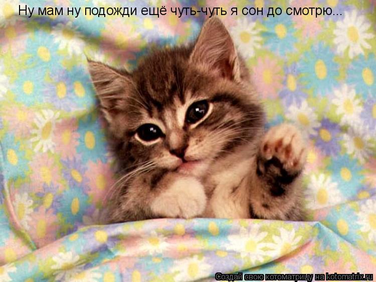 Котоматрица: Ну мам ну подожди ещё чуть-чуть я сон до смотрю...