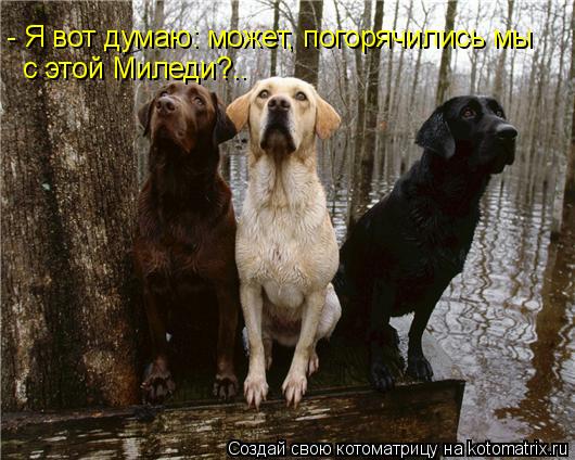 Котоматрица: - Я вот думаю: может, погорячились мы с этой Миледи?..