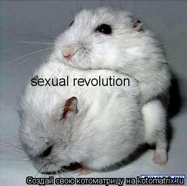 Котоматрица: sexual revolution