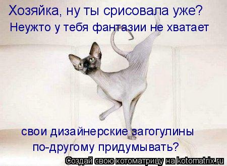 Котоматрица: Хозяйка, ну ты срисовала уже? Неужто у тебя фантазии не хватает свои дизайнерские загогулины по-другому придумывать?