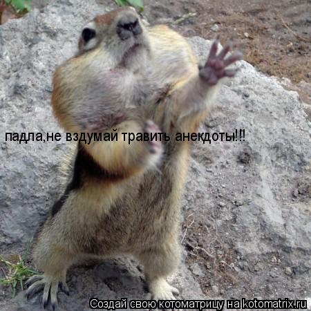 Котоматрица: падла,не вздумай травить анекдоты!!!