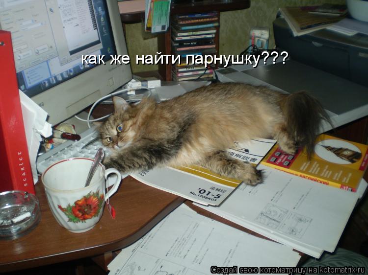 Котоматрица: как же найти парнушку???
