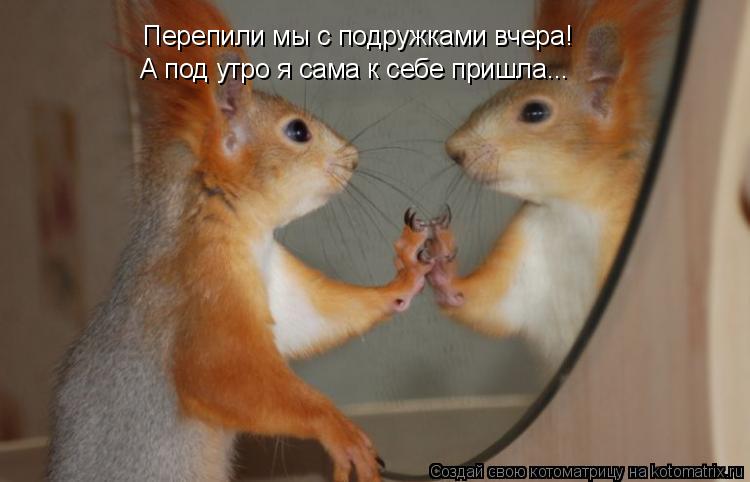 Котоматрица: Перепили мы с подружками вчера! А под утро я сама к себе пришла...