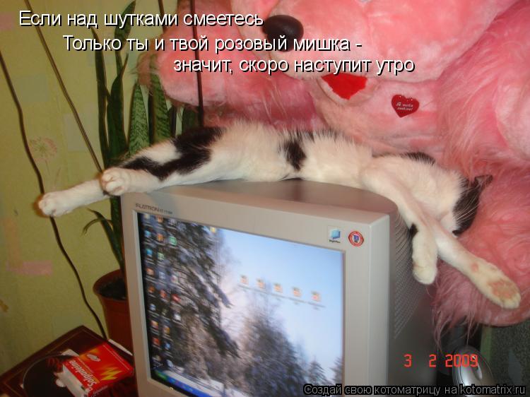 Котоматрица: Если над шутками смеетесь  Только ты и твой розовый мишка - значит, скоро наступит утро